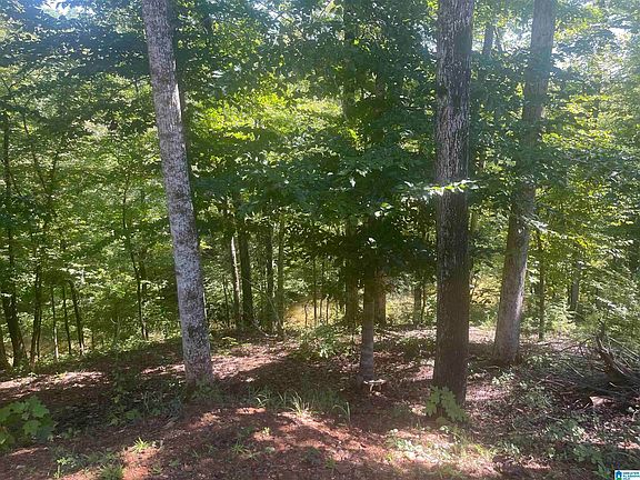 3rd image of 28 Trails End Ln #19 & 20