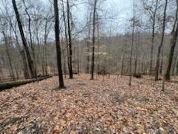 0 Bearclaw Ct SE, Sugar Grove, OH, 43155