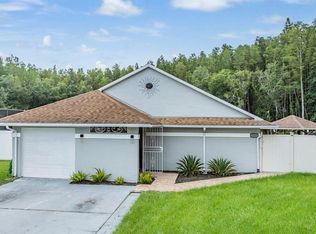 5923 Bitterwood Ct, Tampa, FL 33625