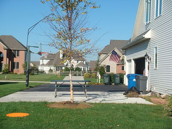Bball Court & extra slab for family fun.