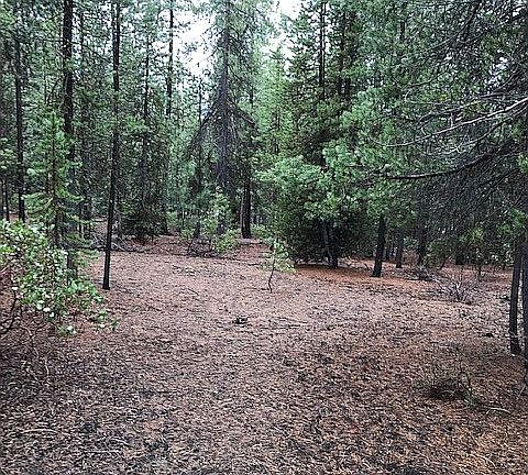 3rd image of 0 Emerald Meadows Way Lot 12