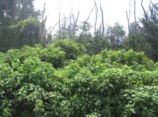 Orchid Pkwy LOT 11, Ocean View, HI 96737