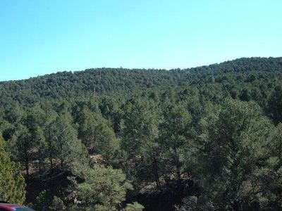 270 Santiago Cir, Alto, NM, 88312