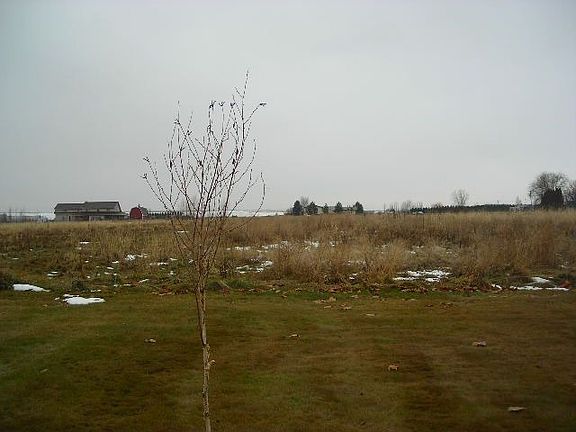 View from back of home