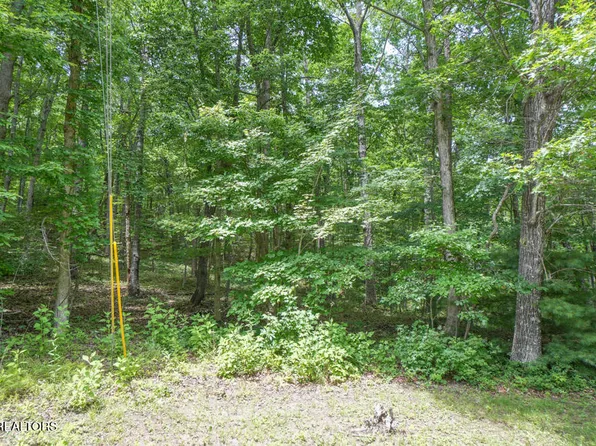 S Peterson Rd, Tallassee, TN 37878