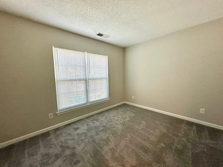 3414 Summerfield Ridge Ln #1 — Photo 24