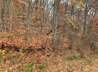 6822 Holiday Valley Rd, Ellicottville, NY 14731