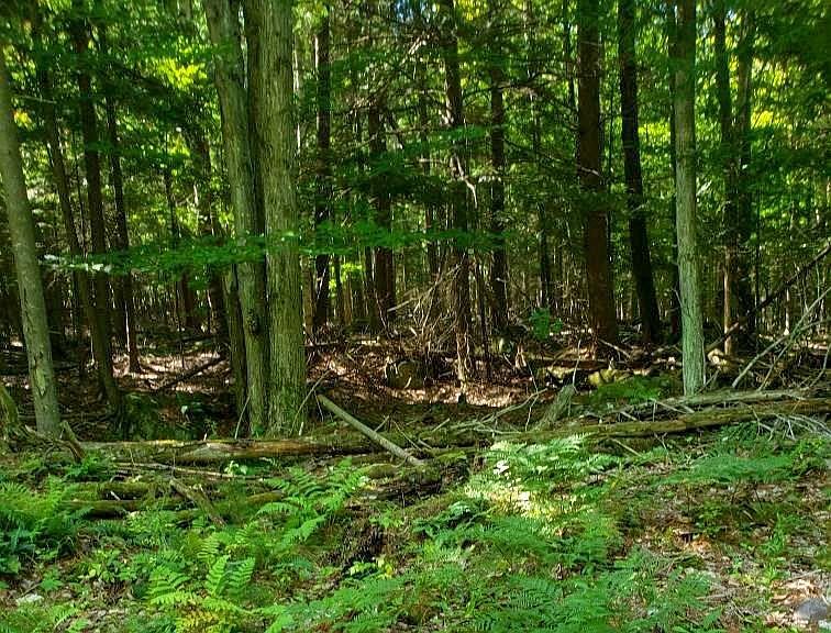 1st image of 83 Green Meadows Way