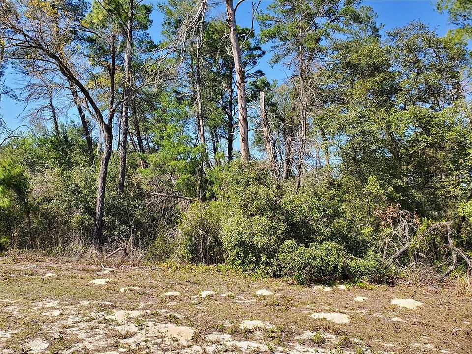 1st image of Tbd Sw Marion Oaks Ln