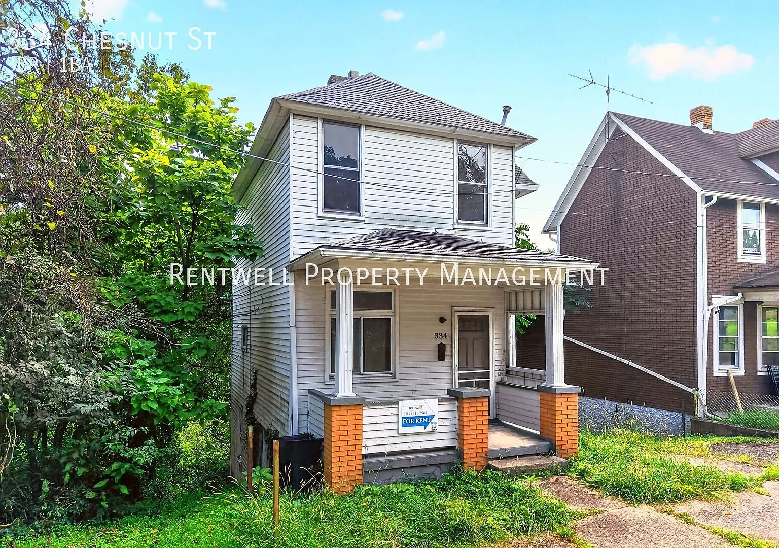 Spacious 3-Bedroom Home with Finished Basement & Wooded Views — Photo 1