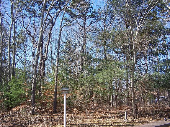 1/2 acre wooded lot