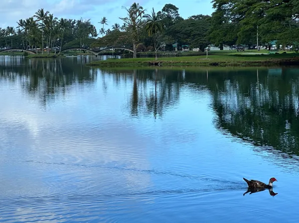 400 Hualani St #3/213, Hilo, HI 96720