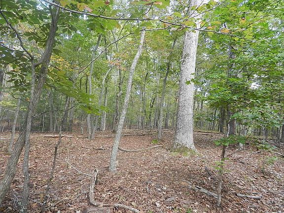 3rd image of 0 Holly Ln Lot C