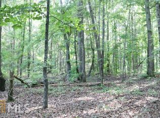 0 Cannongate Rd TRACT 2, Sharpsburg, GA 30277