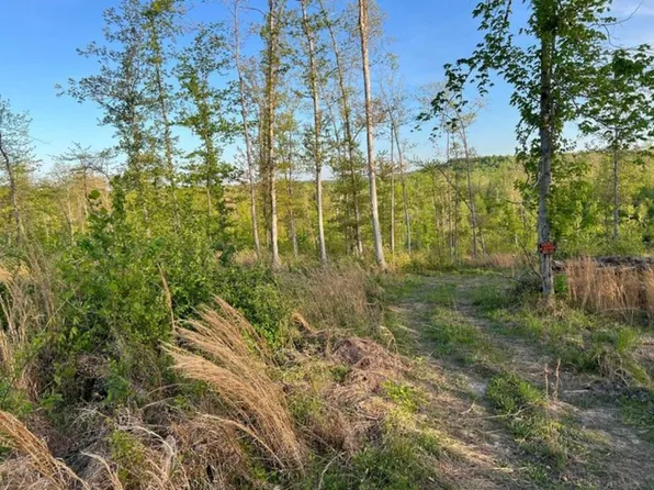 0 Hunt Ln, Dawson Springs, KY 42408