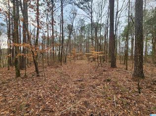 0 County Road 14 #20, Equality, AL 36026