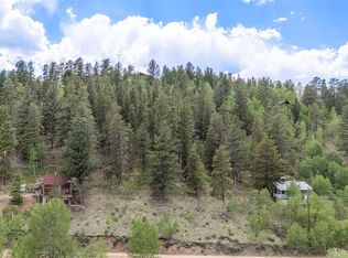 187 Ward St, Bailey, CO 80421