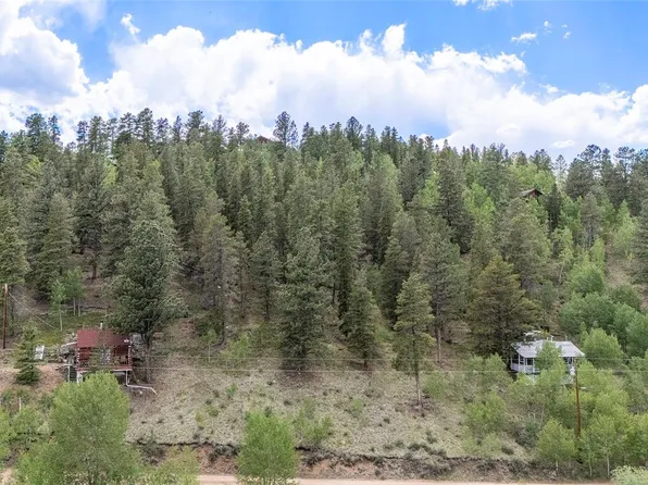 187 Ward Street, Bailey, CO 80421
