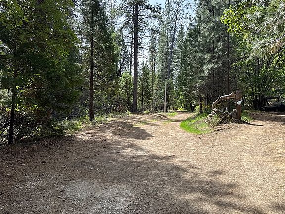 5th image of 15488 Carson Trl