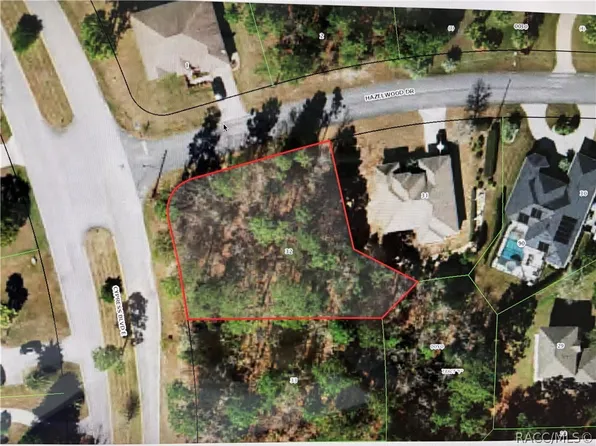 1 Hazelwood Dr, Homosassa, FL 34446