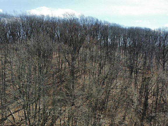 4th image of 2849 Manchester Rd