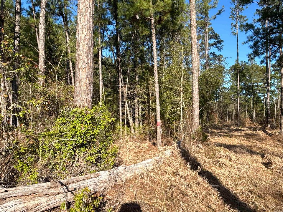 2nd image of 1 W Dallas County Line