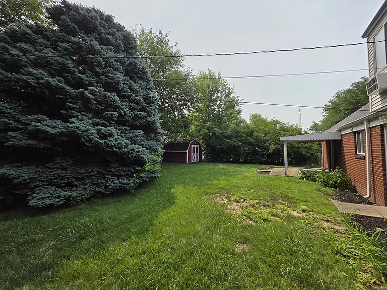 Large backyard