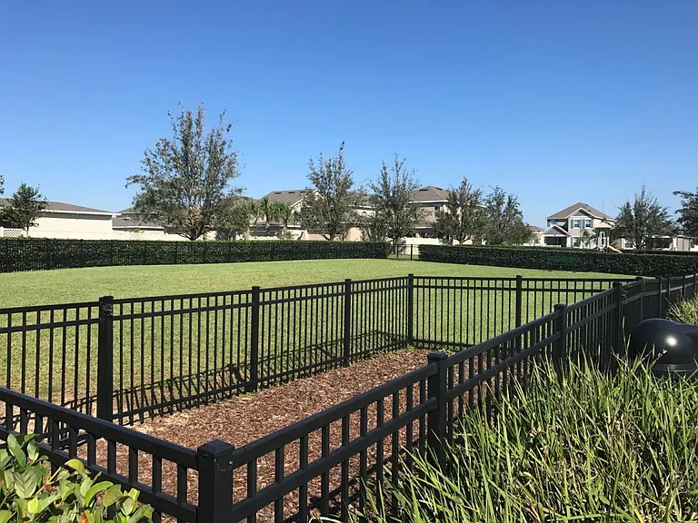 Dog park