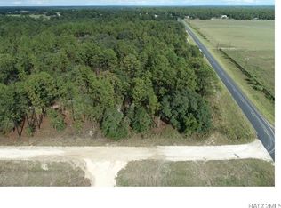 Tbd Ne 137th Ave, Williston, FL 32696