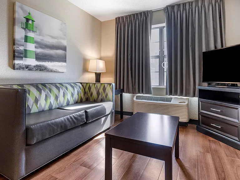 1 Bedroom Suite - 1 King Bed
