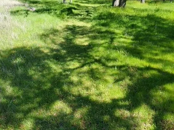 7186 White Oak Ln, Browns Valley, CA 95918