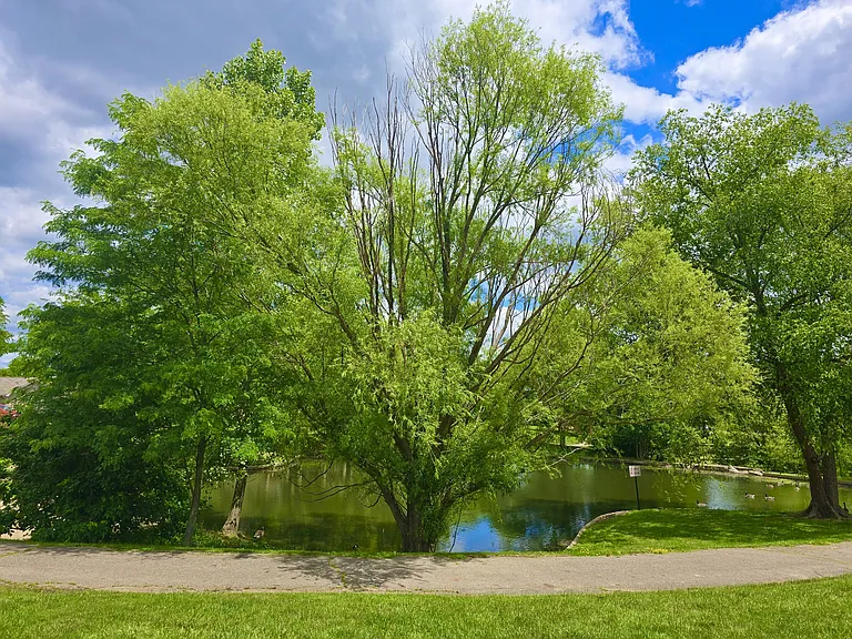 beautiful trails for walking on the property with a pond!