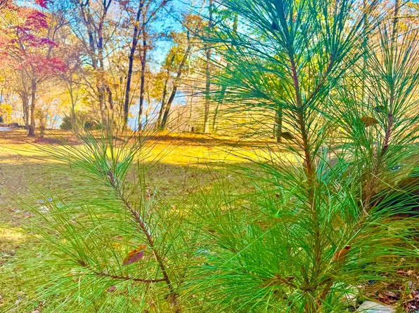 0 County Road 129, Bremen, AL 35033