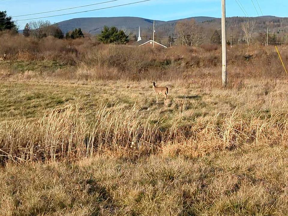 2nd image of 54 Nadalini Dr #23