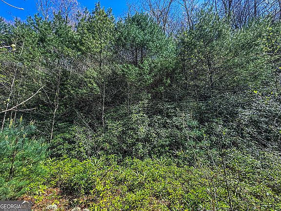 2nd image of Township Road 5 Outback Ln