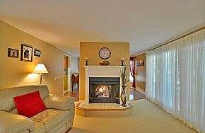 Cozy Gas Fireplace