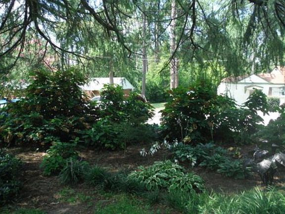 4th image of 1848 Robin Rd