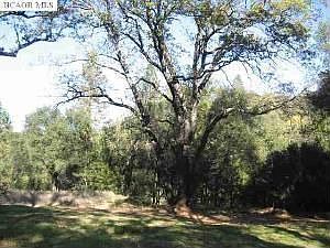 2nd image of 17400 State Highway 49