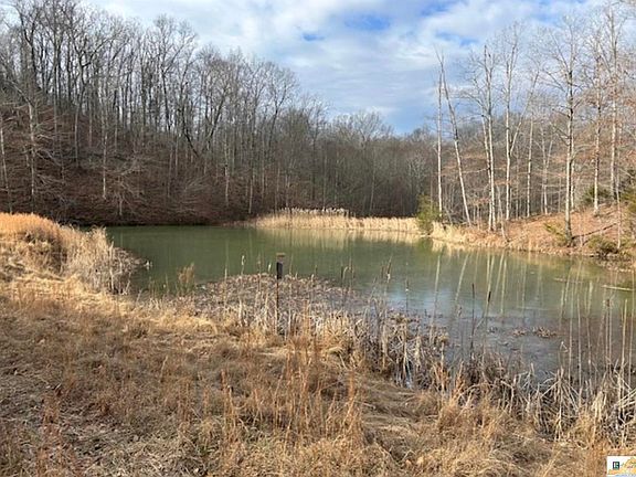 3rd image of 3900 Sparksville Rd