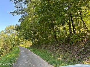 Low Gap Rd, Lafollette, TN 37766