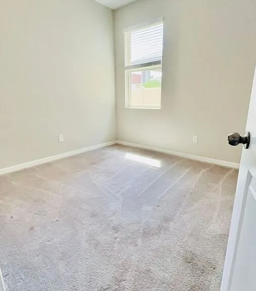 8897 Flourish Dr — Photo 12