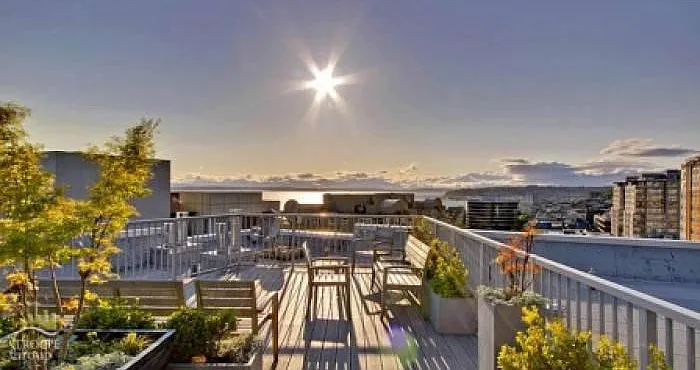 Rooftop