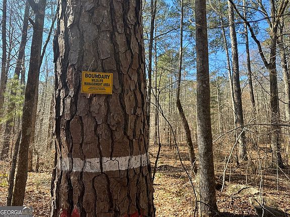 5th image of 1500 Middlebrooks Rd