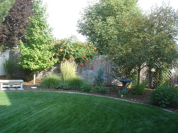 Backyard2