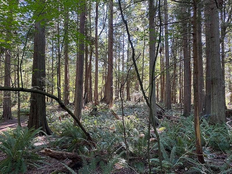 1st image of LOT 24 Georgia Ct