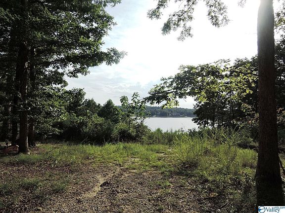 3rd image of 353 County Road 182