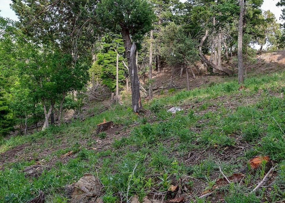 2nd image of 422 Flume Canyon Dr