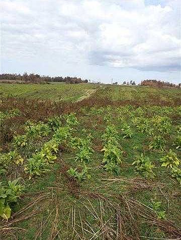 2nd image of 5140 Bacon Creek Rd