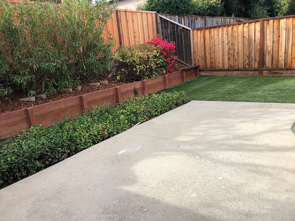 back yard
