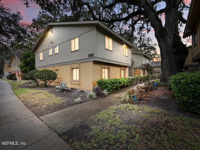 1800 PARK Avenue #228, Orange Park, FL, 32073